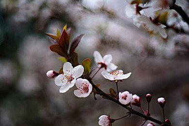 《Spirit City: Lofi Sessions》登陆Steam 专注放松工具游戏