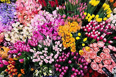 《搭档任务：秘密搜查组》新中文CM 8月20日发售